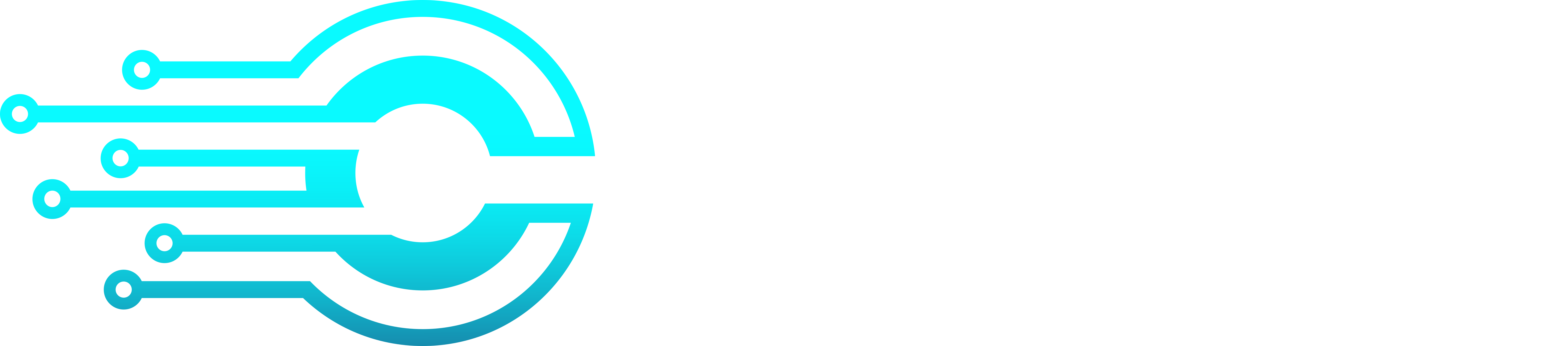 Cogitor Capital